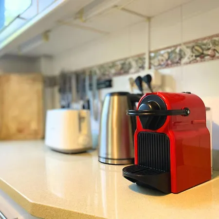 Con Jardin En Cantabria 阿内罗