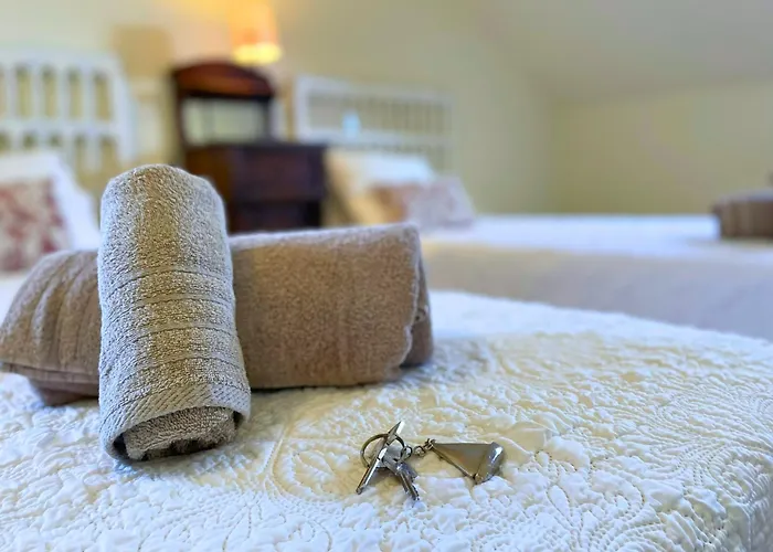 Con Jardin En Cantabria 阿内罗