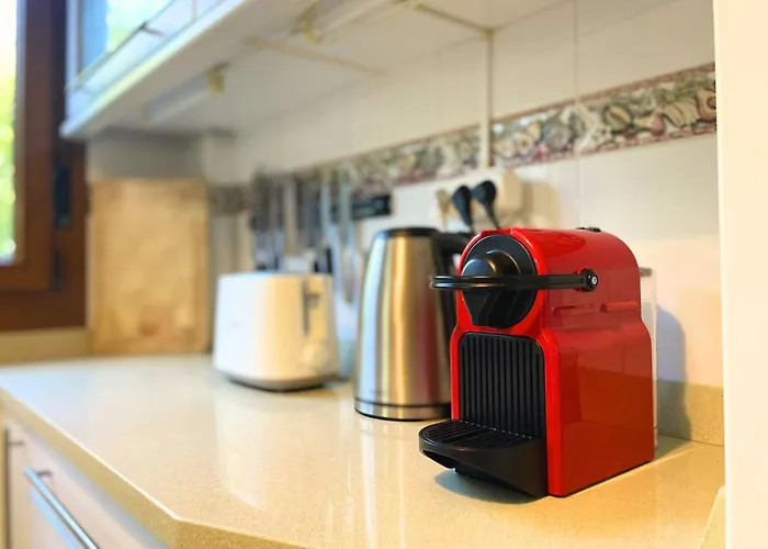 Con Jardin En Cantabria 阿内罗